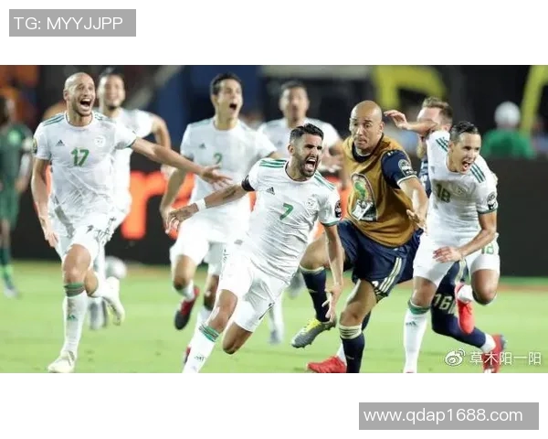 塞内加尔与阿尔及利亚比赛分析及推荐策略详解